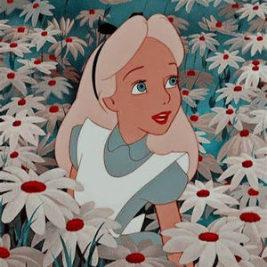 Meet your Posher, Frances